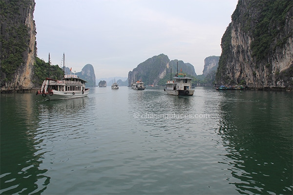 The different tour boats in Halong Bay