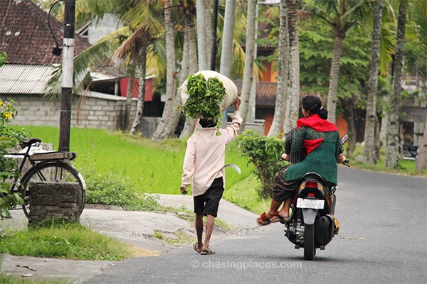 Local farmers, minutes outside of Ubud