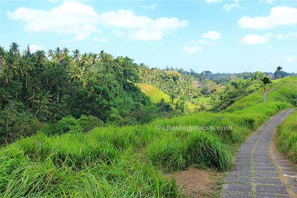 There are some beautiful walking paths through the undulating countryside near Ubud