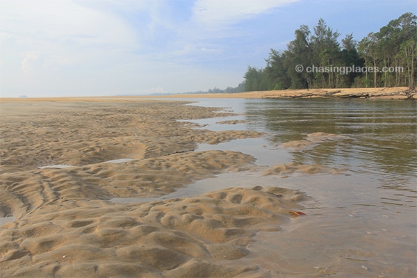 The mouth of the Cherating River at low tide