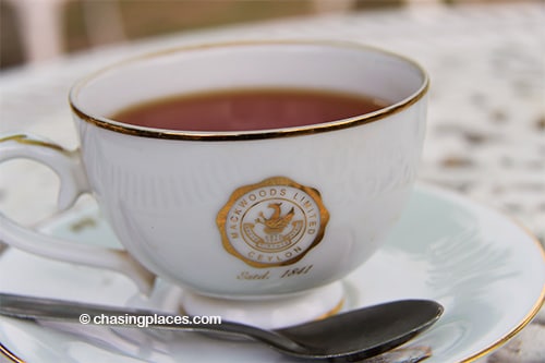 The complimentary cup at Mackwoods' Tea Factory