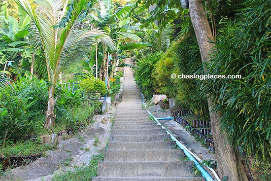 The initial set of stairs leading up to Phi Phi Viewpoint