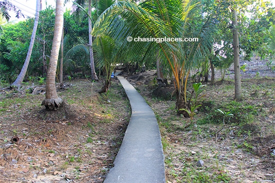 The walk up to Phi Phi Viewpoint gets less steep as you continue to walk up
