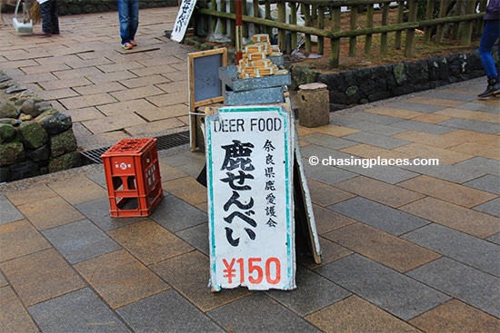 The deer in Nara could be the most well fed animals in the world