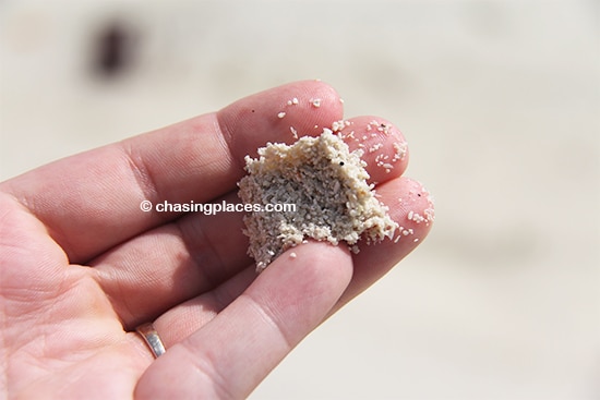 White granules of sand from Villingili's main beach