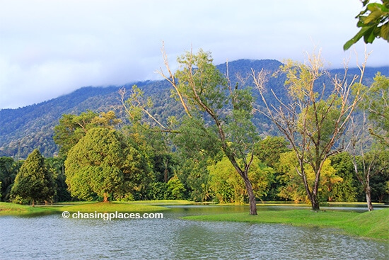 Taiping's stunning Lake Gardens with Bukit Larut in the background