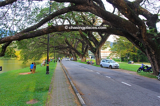 The large, mature trees surrounding Taiping's Lake Gardens are beautiful