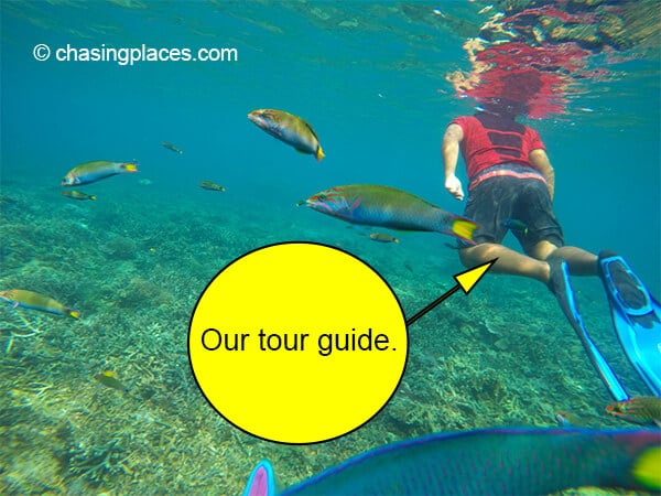 Our tour guide was full of enthusiasm during our snorkeling sessions