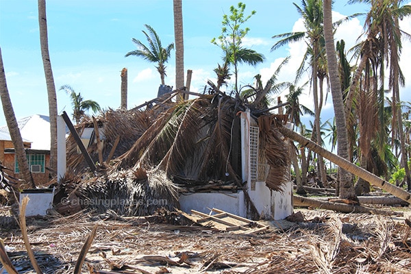 Destruction on Alice Beach