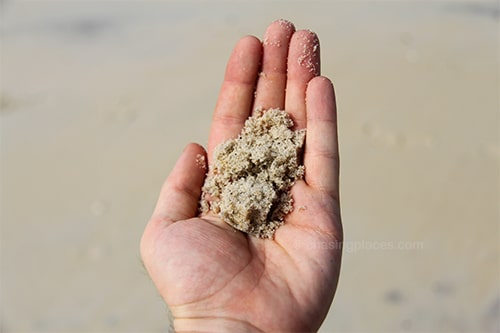 White and yellow sand granules from the northernmost section of Pantai Tengah on Langkawi-Island