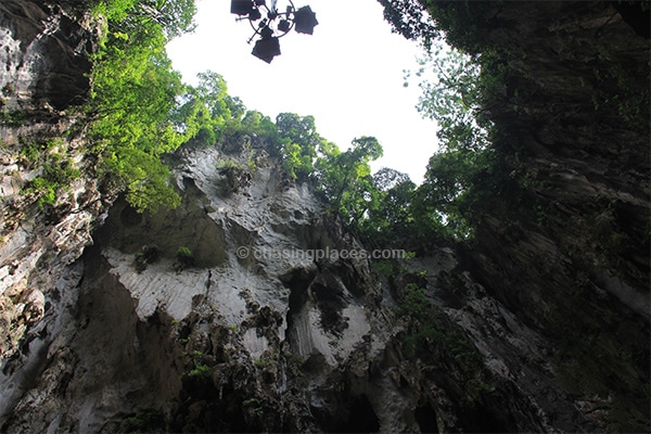 Looking directly up at the top of the Cathedral Cave 