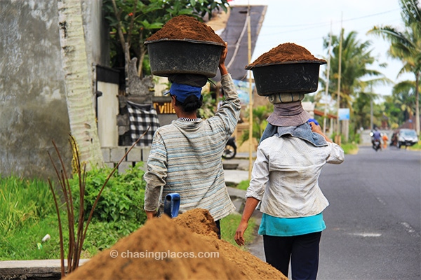 It takes hard work to maintain the pristine vegetation along the roads near Ubud