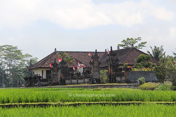 Retreat and yoga compounds are popular around Ubud