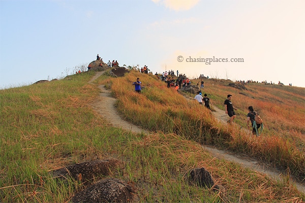 The trails split along the way up to the peak of Broga Hill