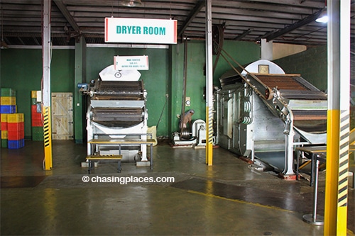 The drying room at Storefield Tea Factory.