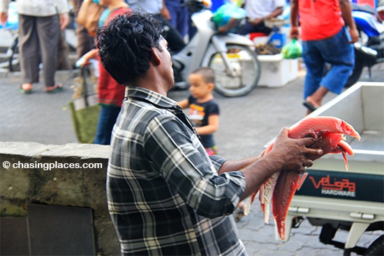 No shortage of fillets at Males fish market