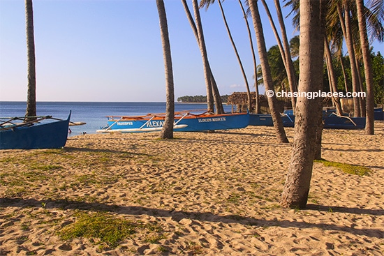 Traditional Filipino bangka's, Saud Beach, Philippines