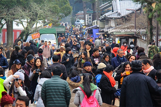 Nara's world class temples can sure draw a large tourist crowd