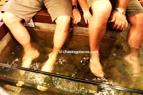 Get ready to be tickled during the fish massage at Central Market, Kuala Lumpur