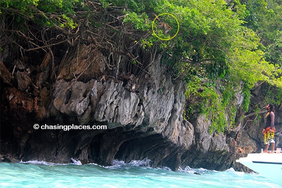 Monkey Beach disappears at high tide