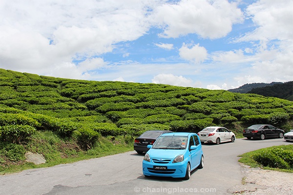 Chasing Places Travel Guide: My Unforgettable Weekend Getaway to Cameron Highlands